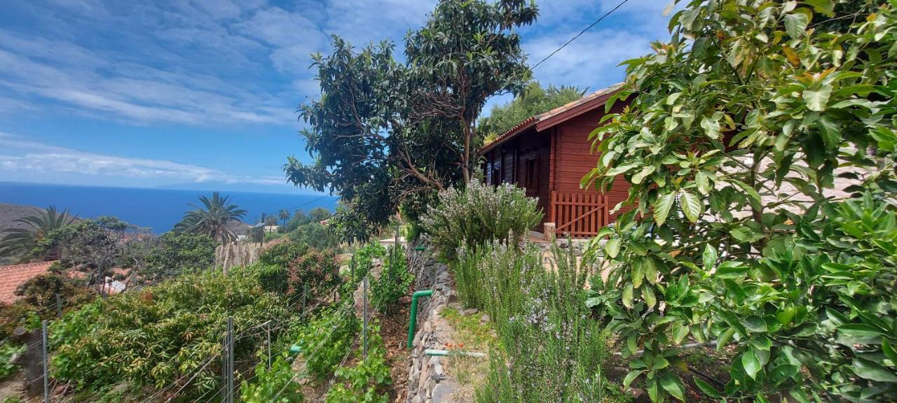 Cabana Los Palmeros, Vista Al Mar Y La Montana Alojera Exteriör bild